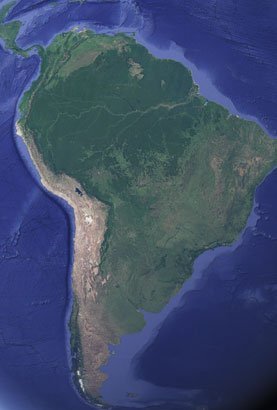casos